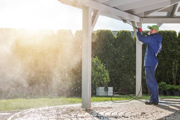 Best Pre-Holiday Cleaning  in Curtisville, PA